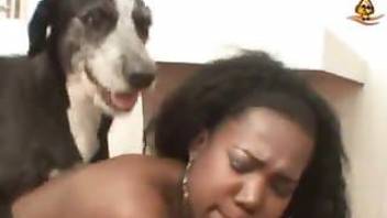 Black horny pleasing her dog dick by sucking it
