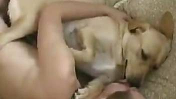 Naked guy fucks his red dog on the bed