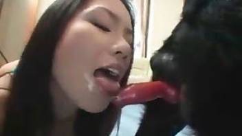 Pet sex video featuring a slender young girl