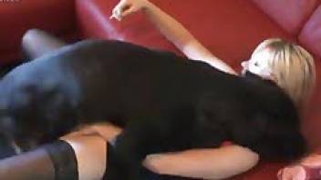 Sex with a dog in close up xxx video