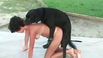 Whore is performing a nice bestial blowjob