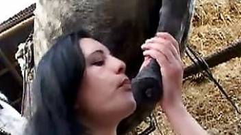 Zoo porn was never so stunning and hot