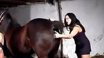 Zoo slut gives a hot head for a nice mare