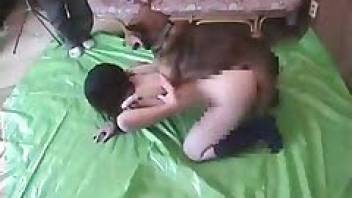 Free animal sex with lots of hot sucking