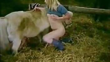 Porno animal video from a bygone era