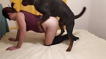 Passionate animals porn with hot fucking