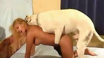 White stockings blonde fucked by dog