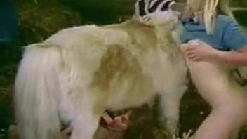 Incredible barnyard bestiality with two hot girls 18+