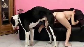 Awesome lady and doggy love nasty zoo porn