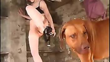 dog sex with cum swallowing female