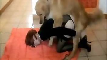 Stockings girl gets fucked by dog