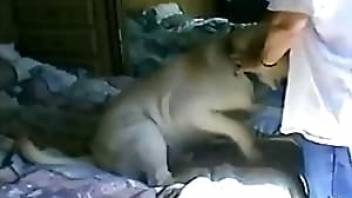 Horny old girl fucked by dog