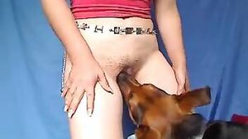 Only the very best dog sex videos. Free bestiality and animal porn