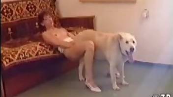 Redheaded amateur decides to fuck a dog. Free bestiality and animal porn
