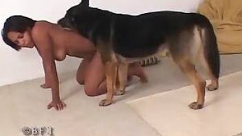 Girl dog sex video with lots of hot oral