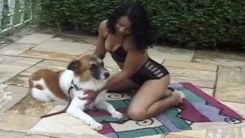Watch how to have sex with a dog bestiality