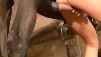 Brunette bottoming for a big cock horse