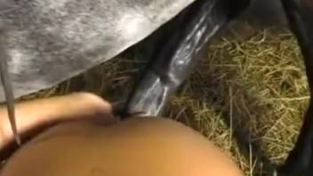 Blonde fucked in a hardcore zoo porn vid