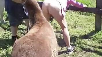 Chubby girl fucks horse outdoors. Free bestiality and animal porn