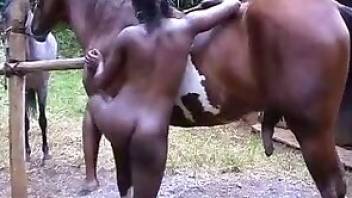 Horse cock blowjob in a hot beastiality vid
