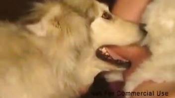 Awesome throat-fucking for a sexy dog