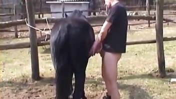 brutal zoophilia porn action with horse
