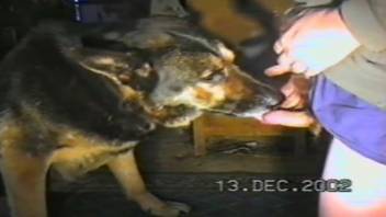 Insane guy screws a female dog in her tiny mouth