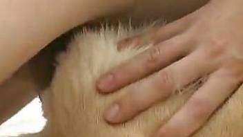 passionate man fucks animal in dog zoo porno